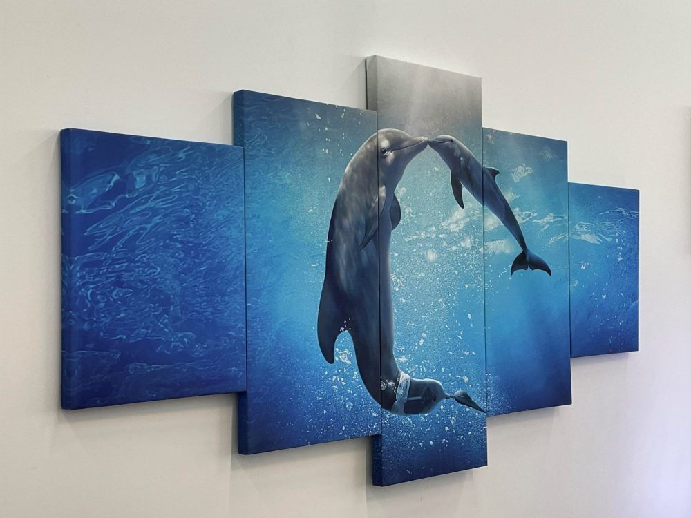 Delfin02